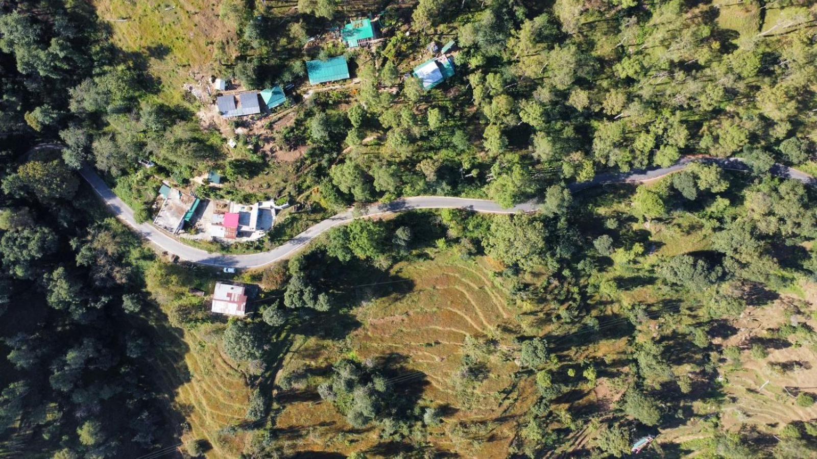 Zenoaks Homestay Almora Exterior foto